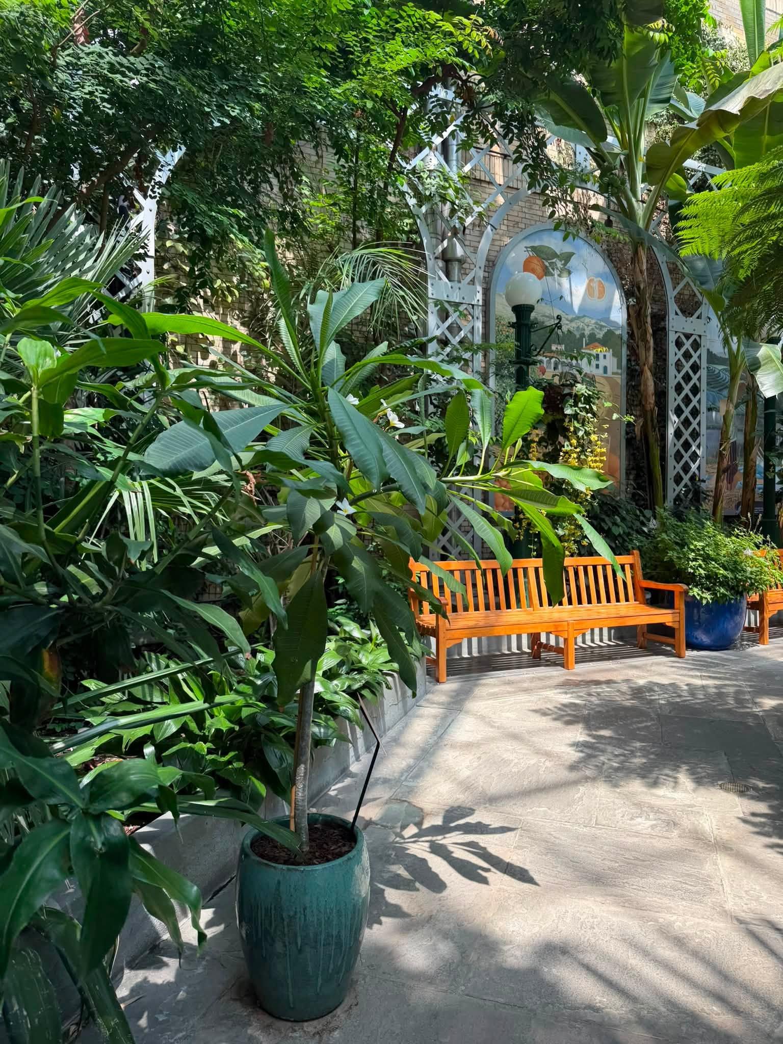 view of full plant with a bench in the background