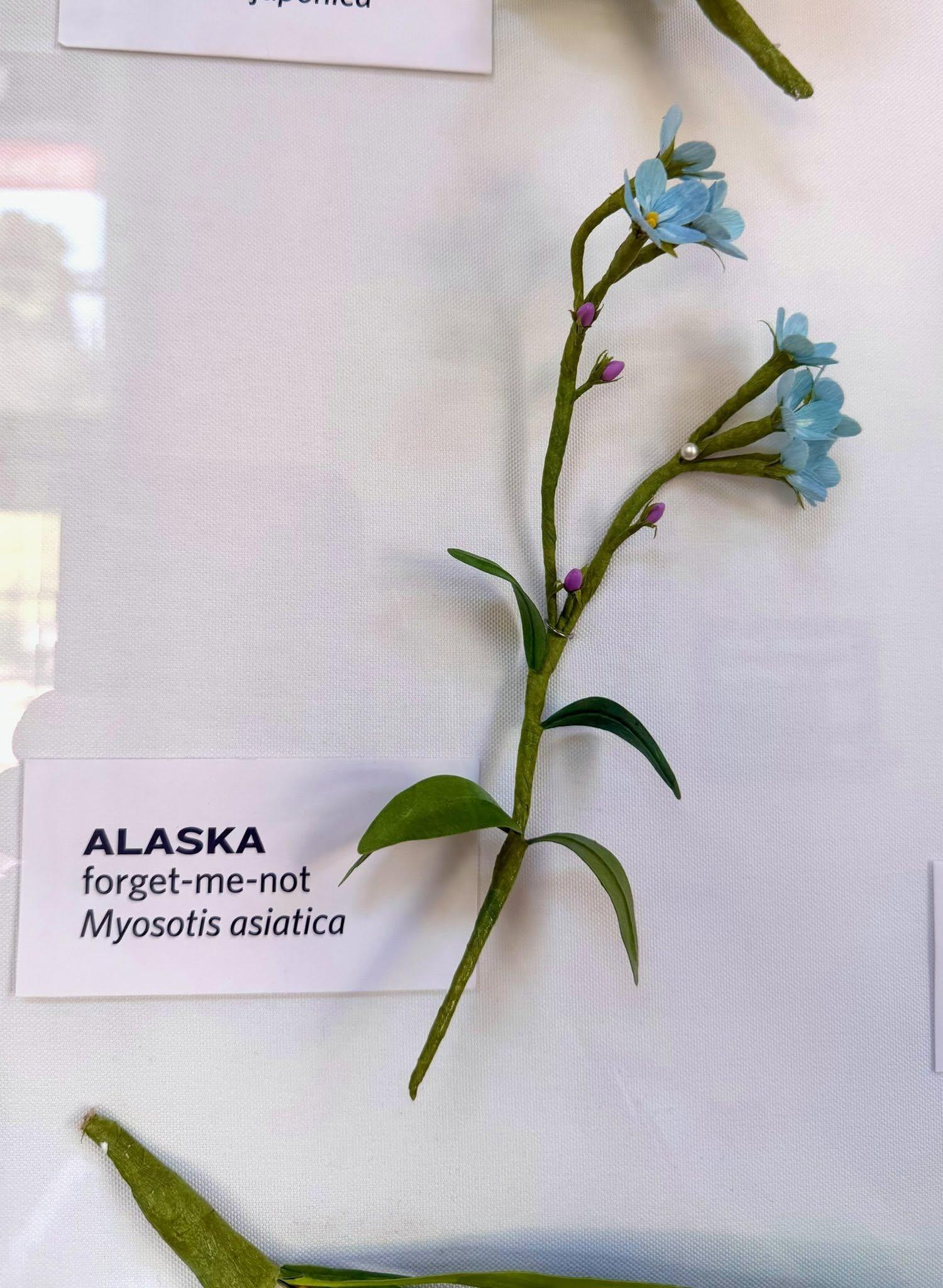 paper blossom in the exhibit with an Alaska label