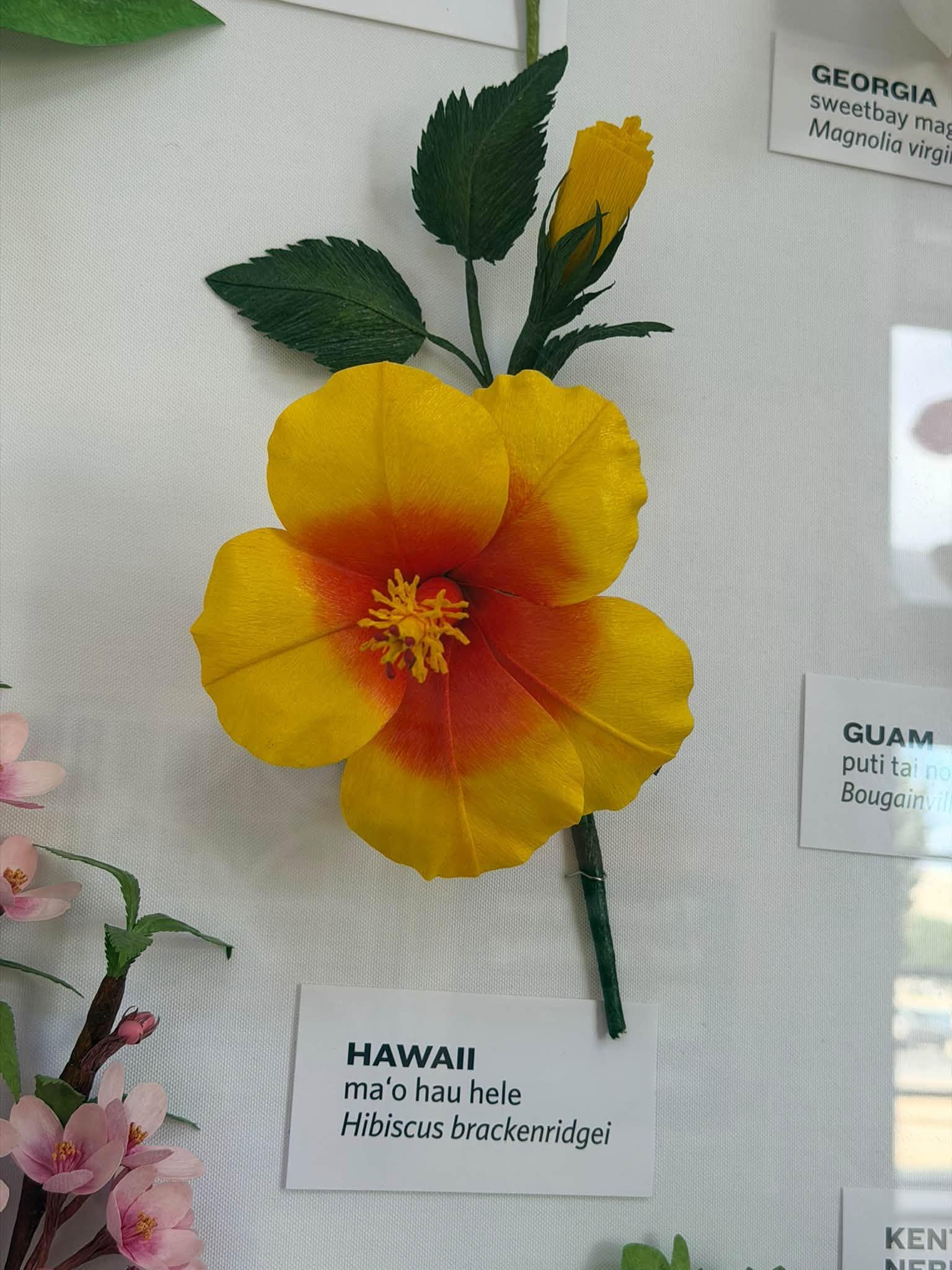 yellow paper flower in the exhibit with a Hawaii label