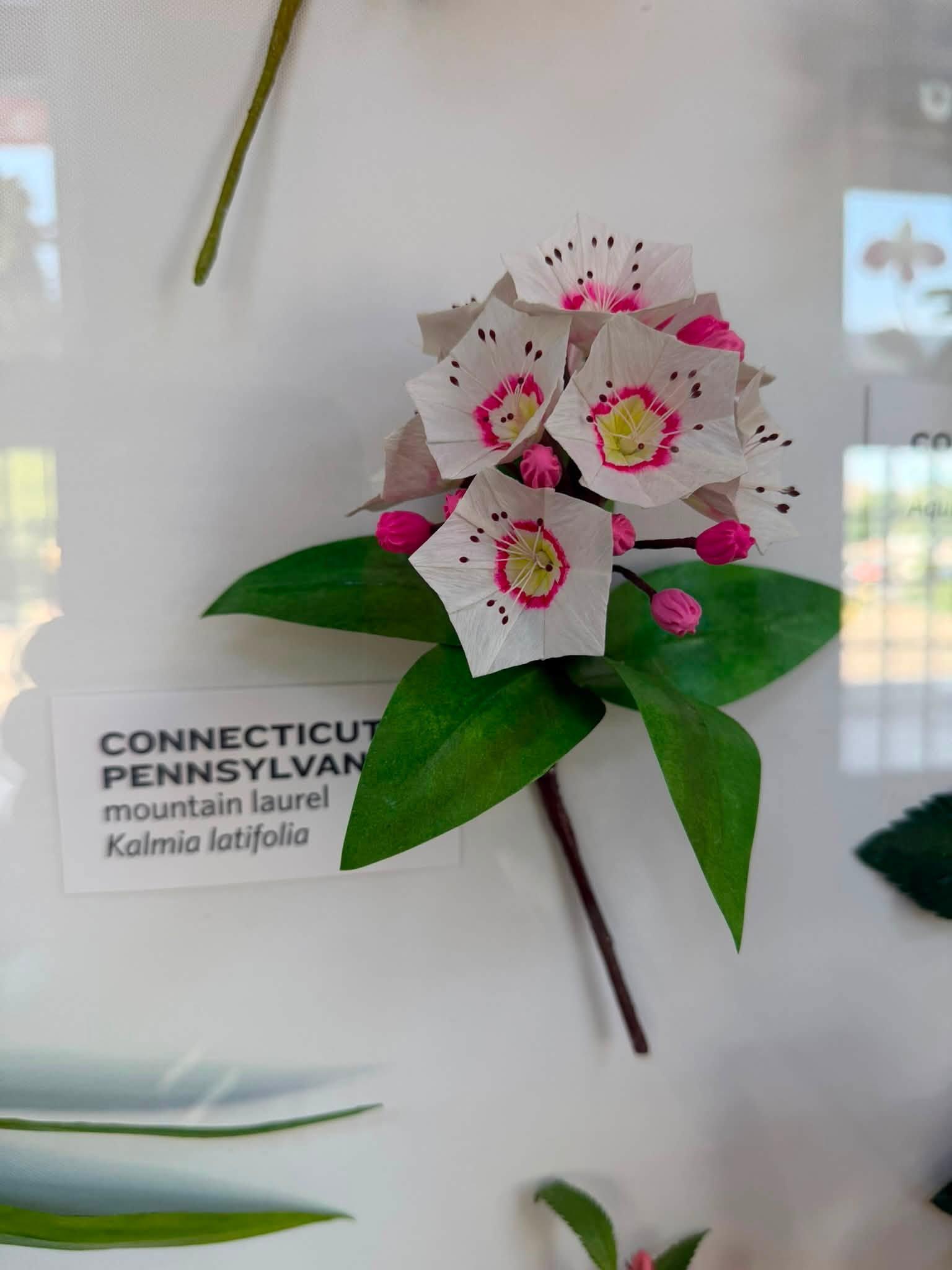 paper flowers in the exhibit with a Connecticut and Pennsylvania label