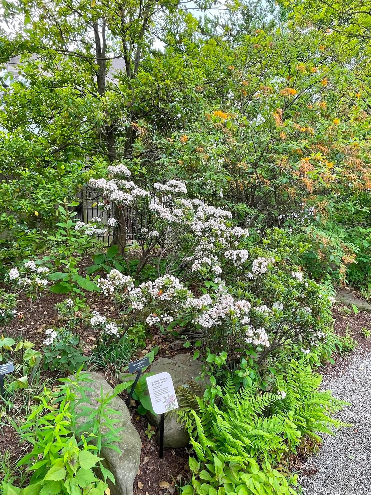 view of full plant