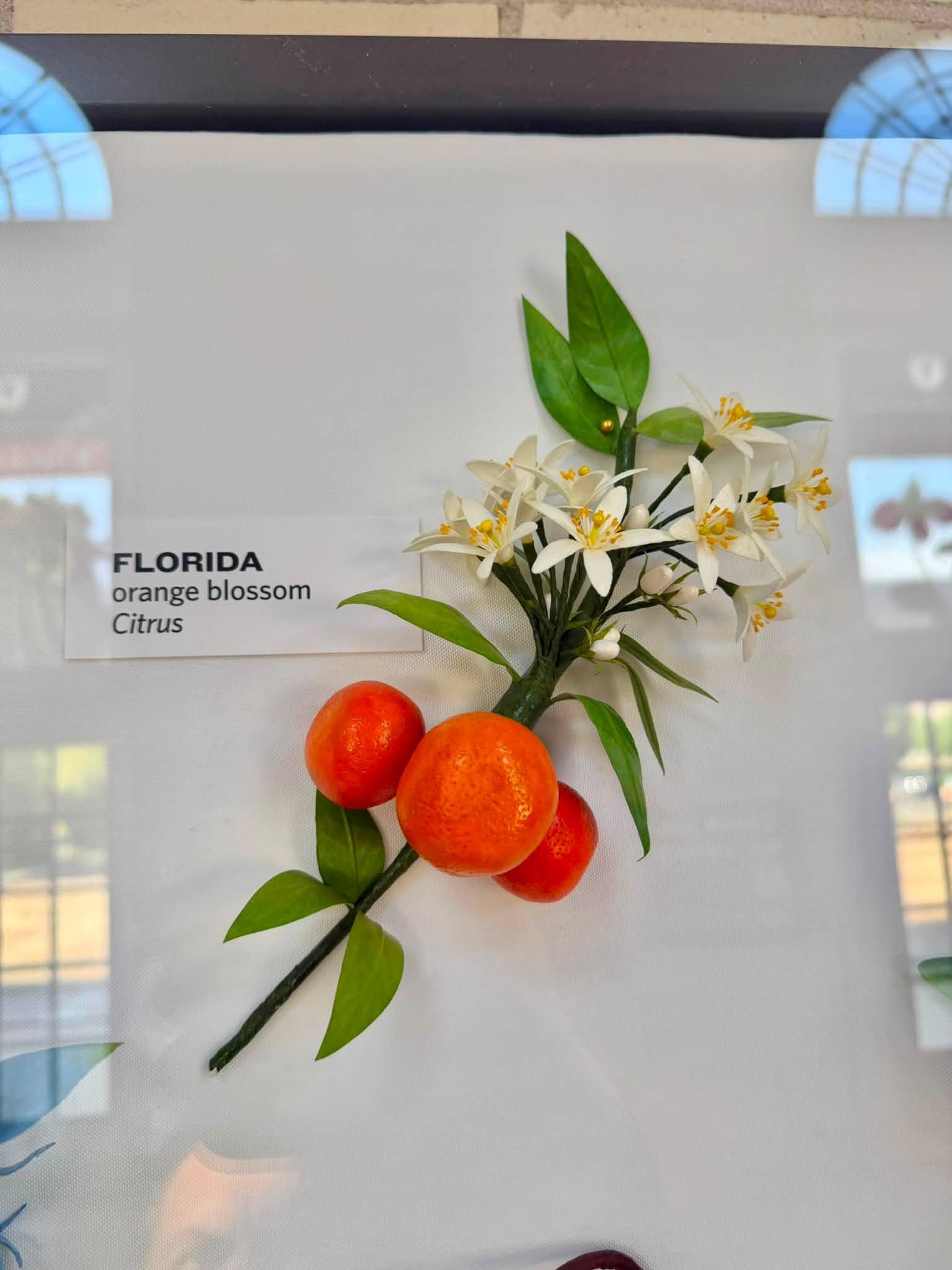 paper flowers and citrus in the exhibit with a Florida label