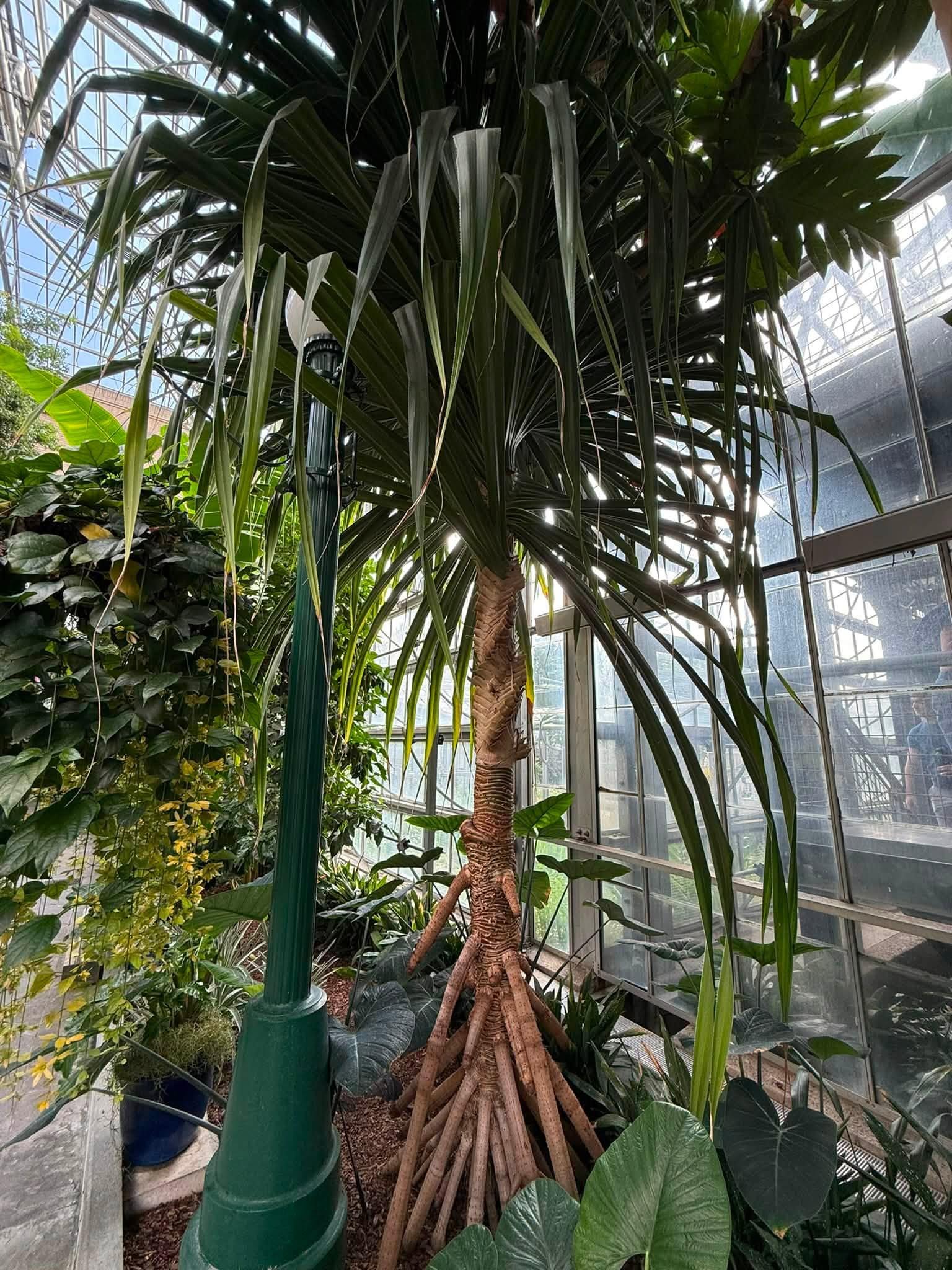 view of full plant