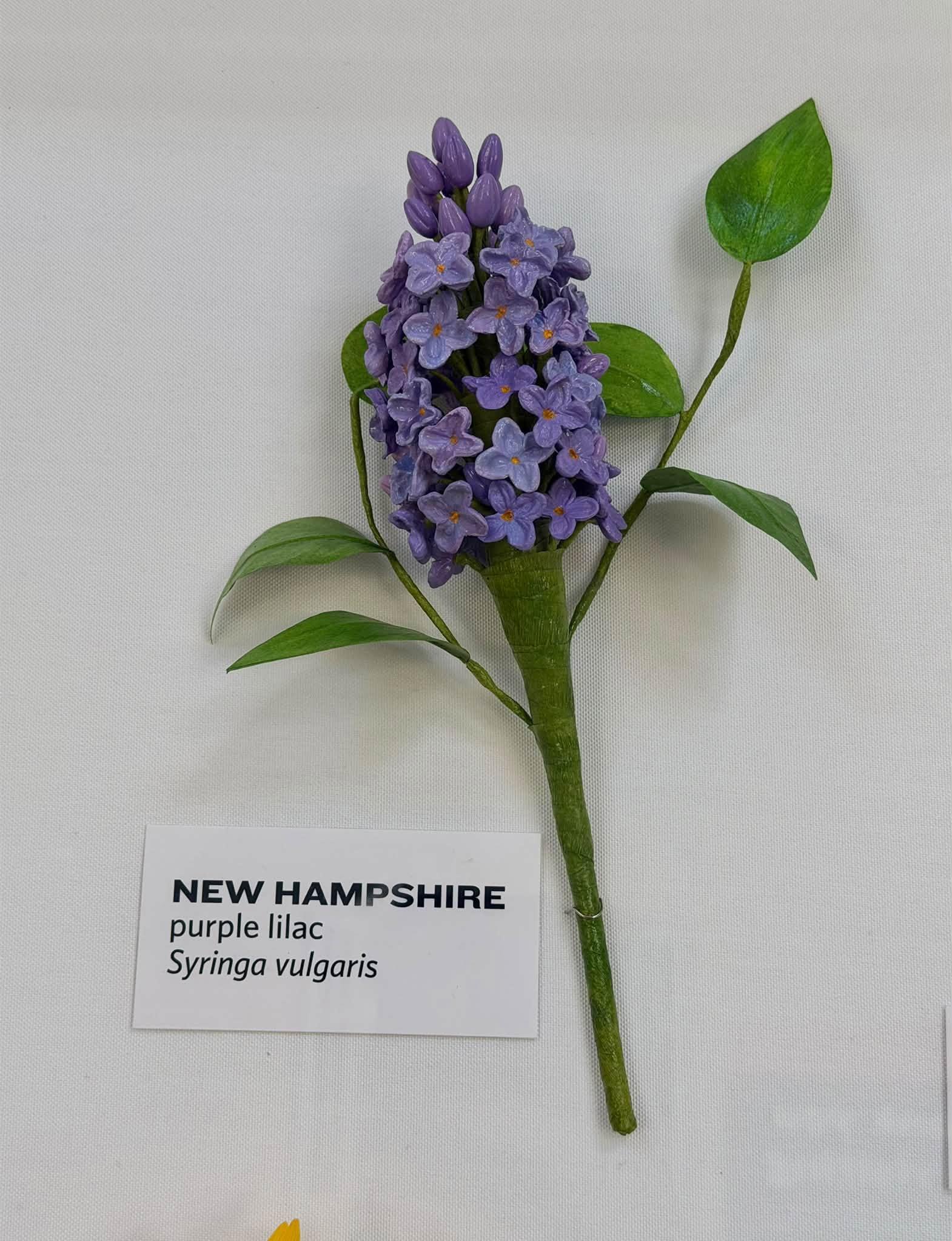 paper flowers in the exhibit with a New Hampshire label