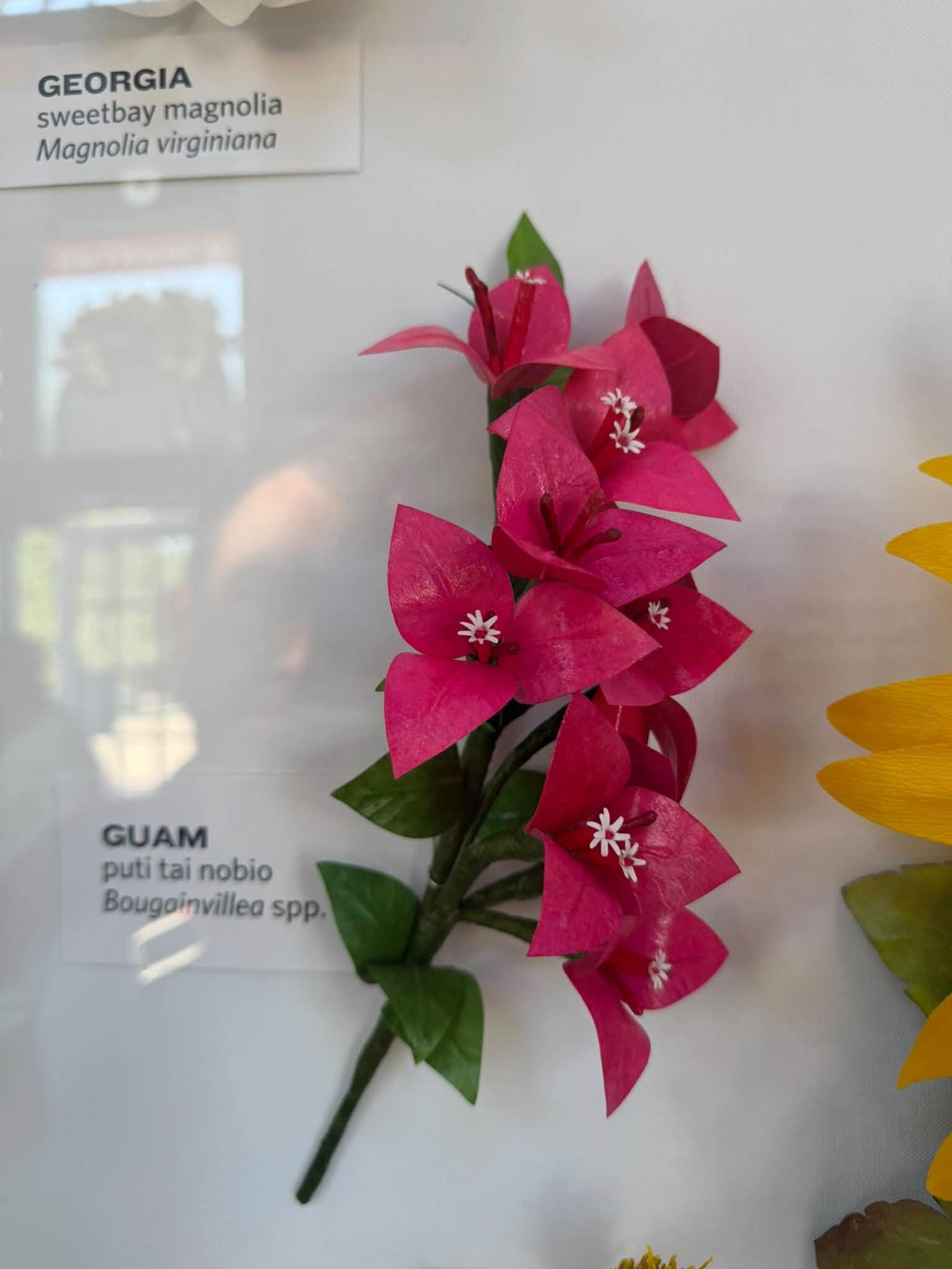 pink paper flowers in the exhibit with a Guam label