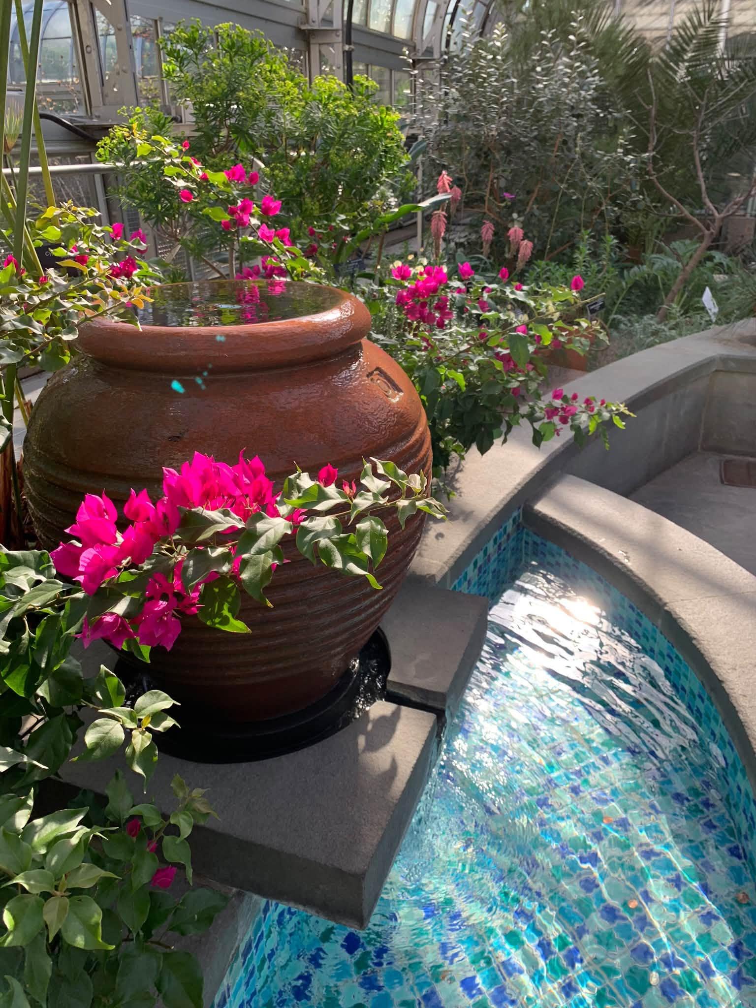 pink flowers in a pot over a pool of water