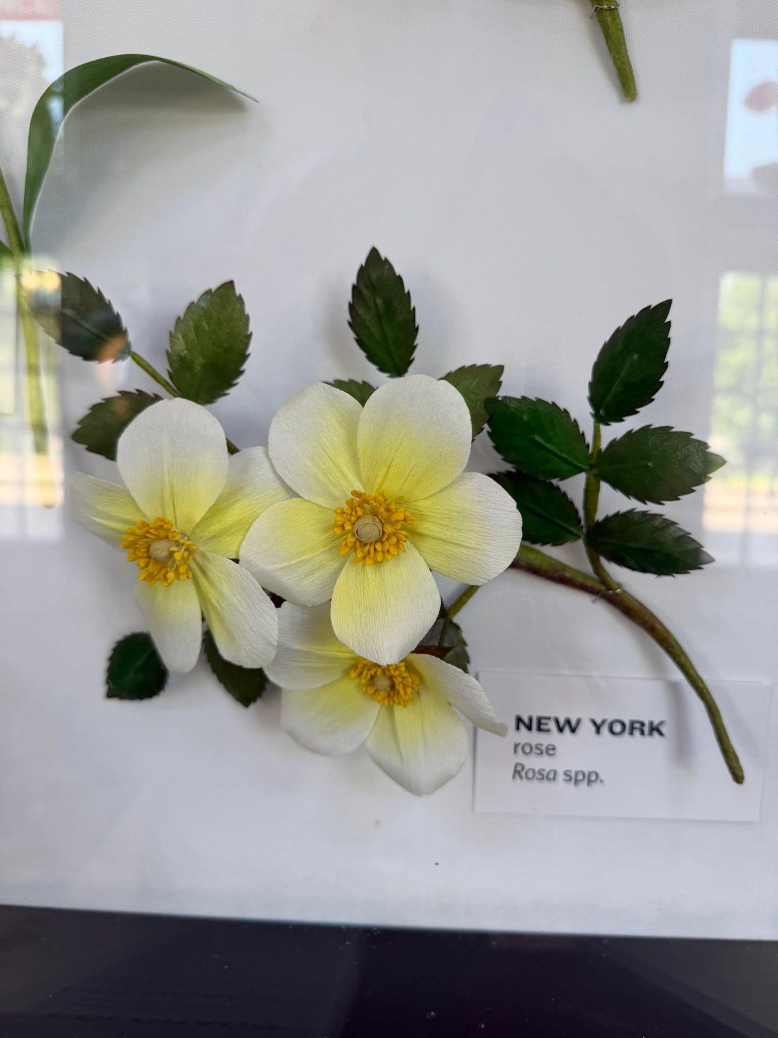 paper flowers in the exhibit with a New York label