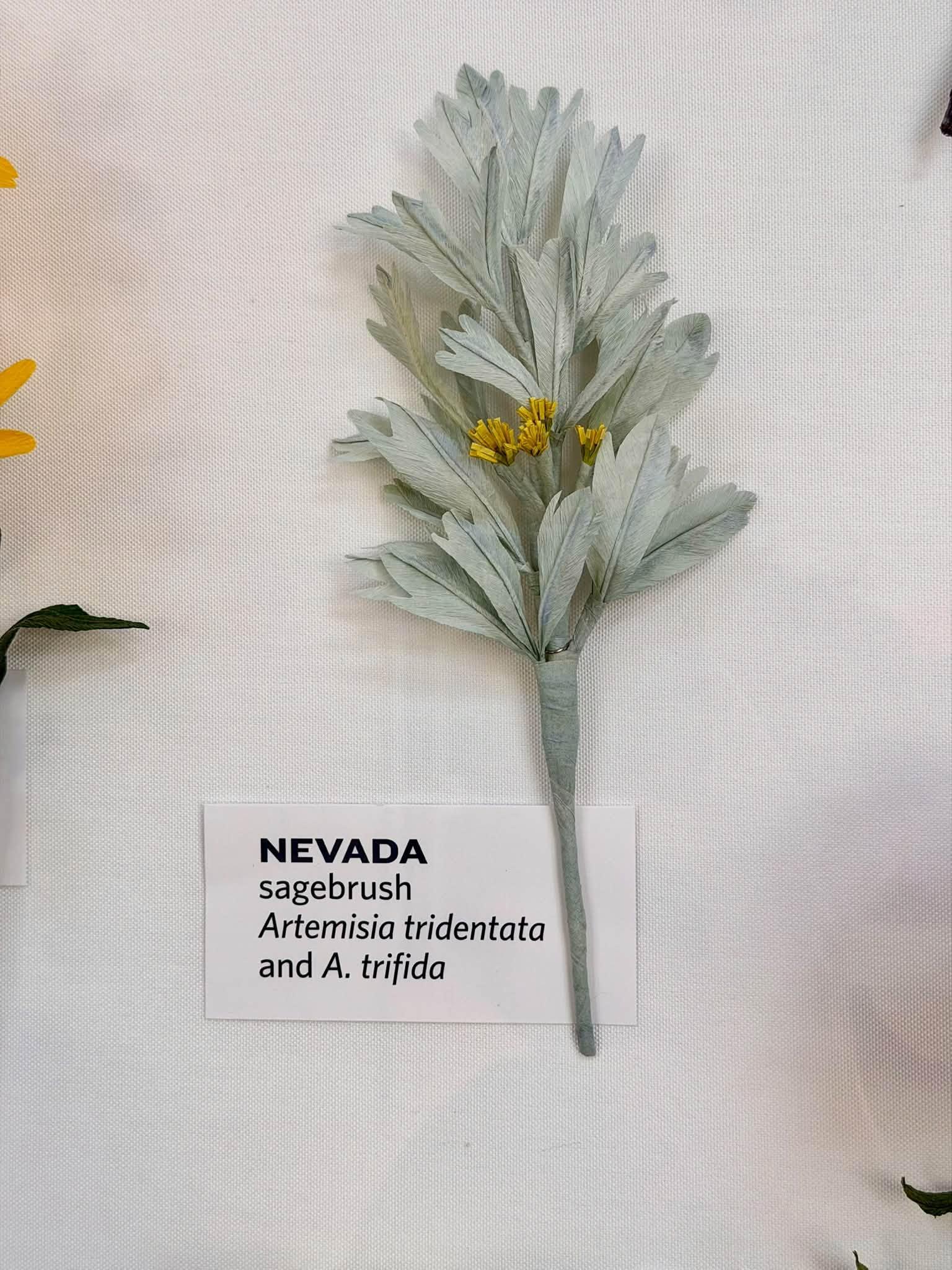 paper flowers in the exhibit with a Nevada label