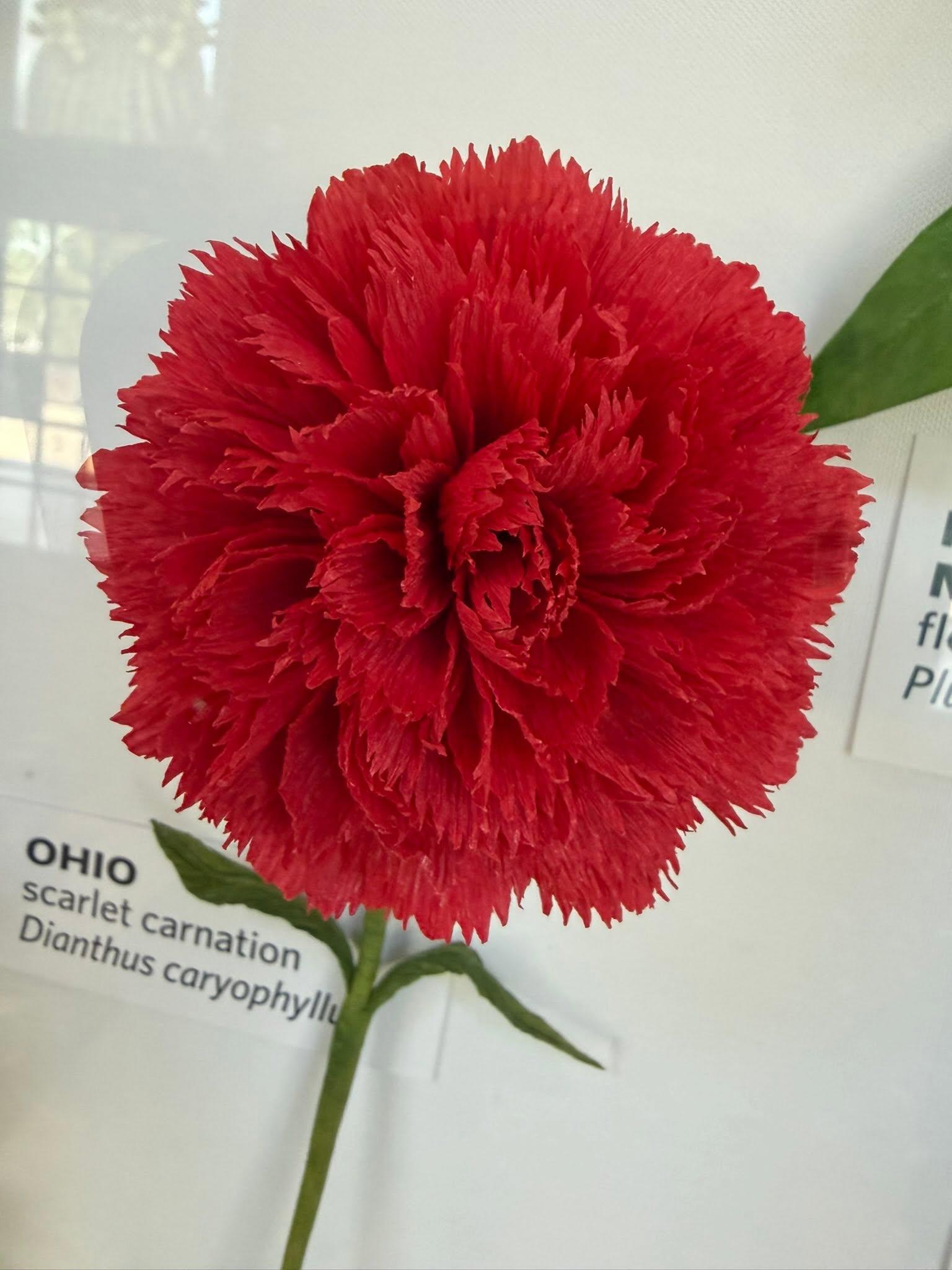 red paper flower in the exhibit with an Ohio label