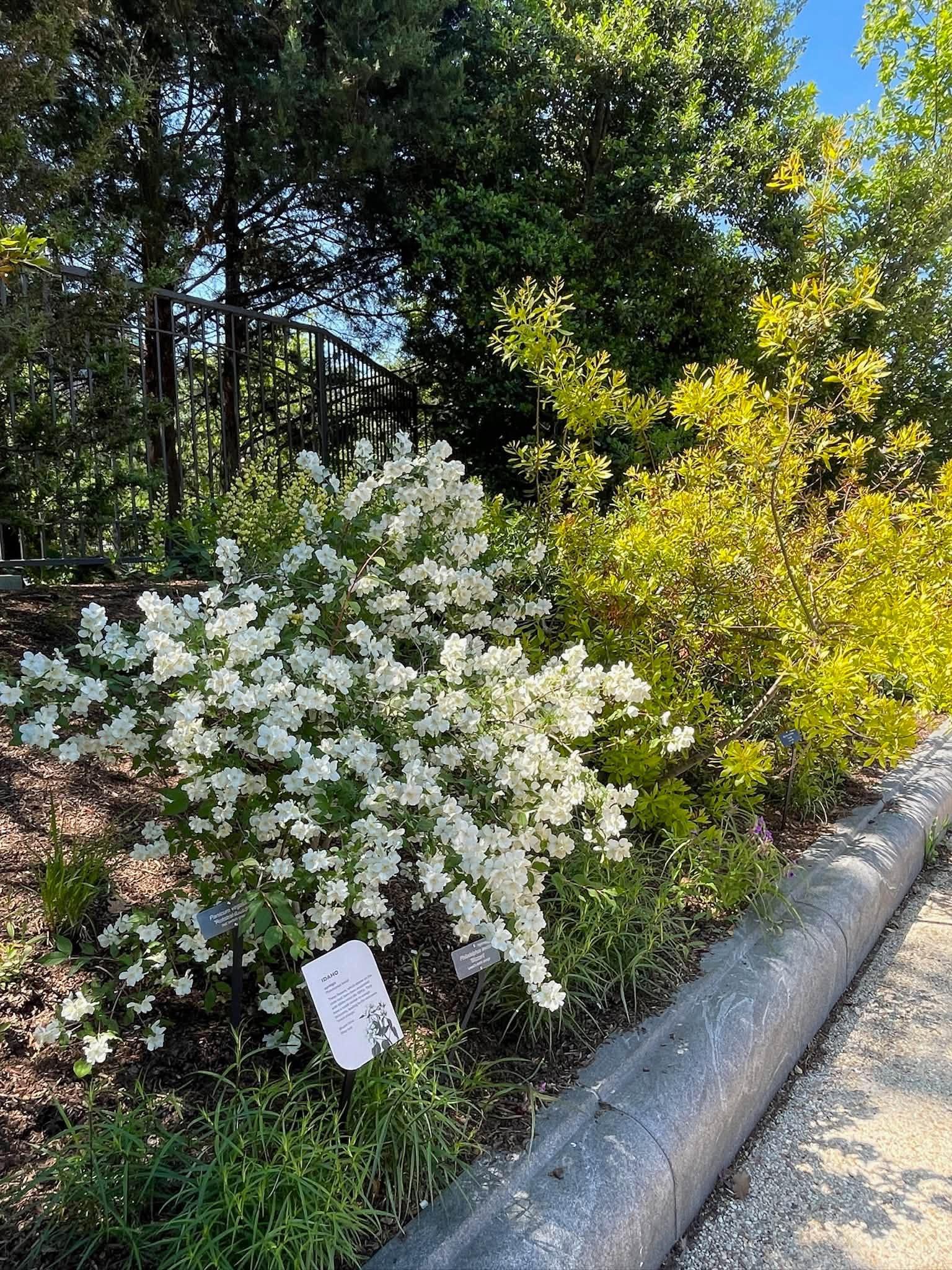 view of the full plant