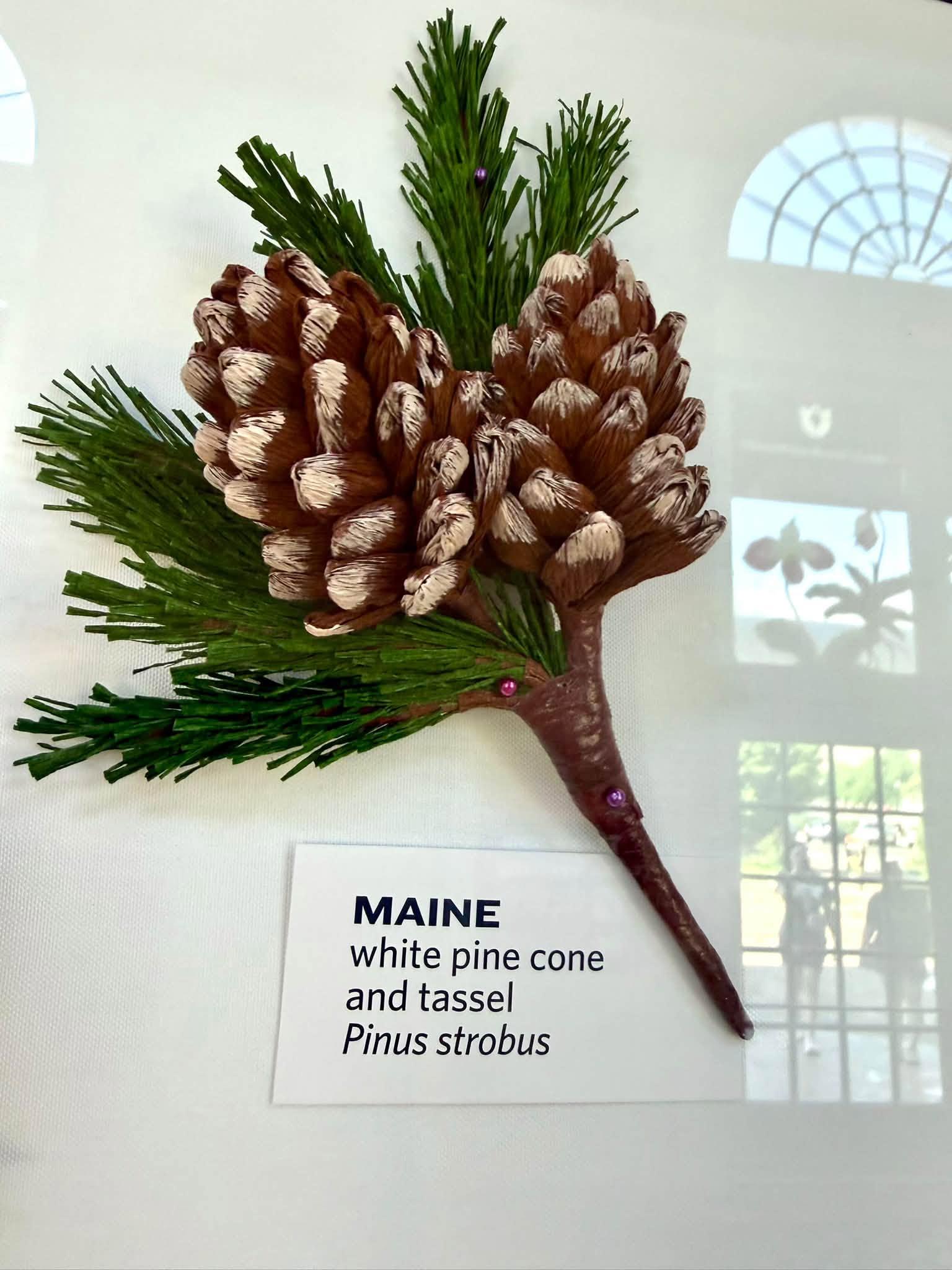 paper pine cone in the exhibit with a Maine label