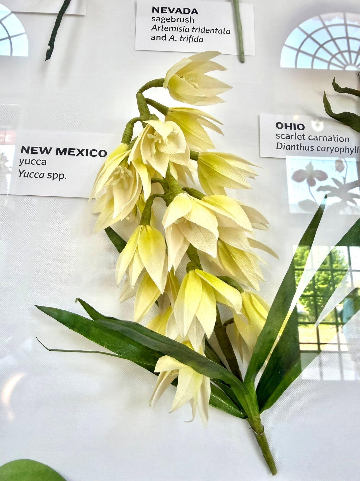 paper flowers in the exhibit with a New Mexico label