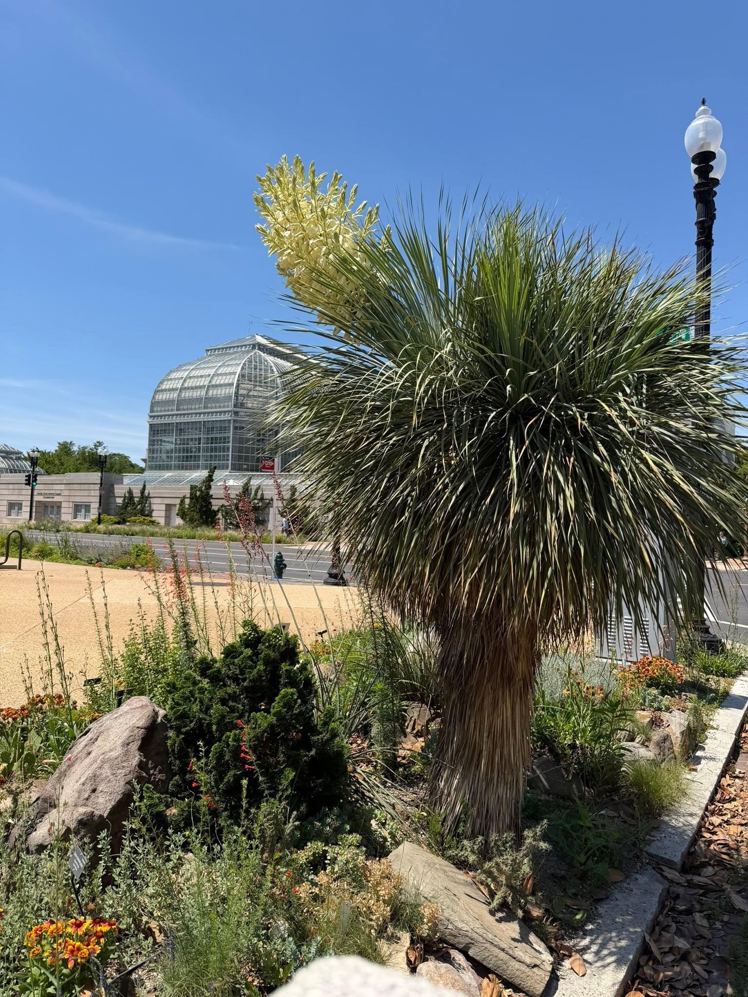 view of the full plant