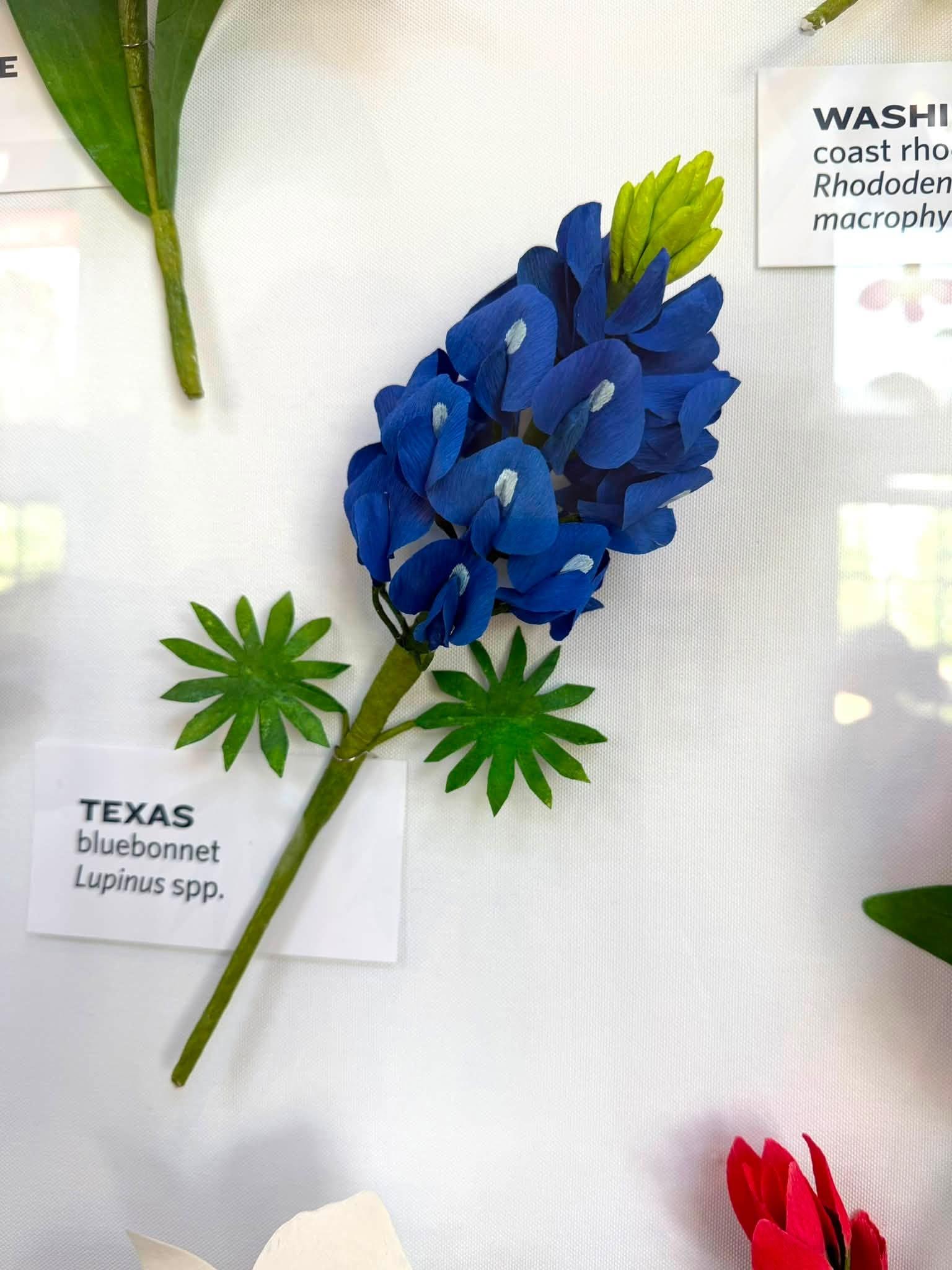 paper flowers with a Texas label at left