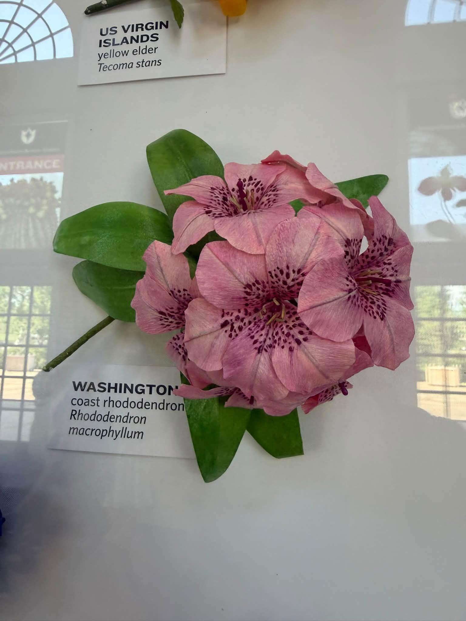paper flower with a Washington label bottom left