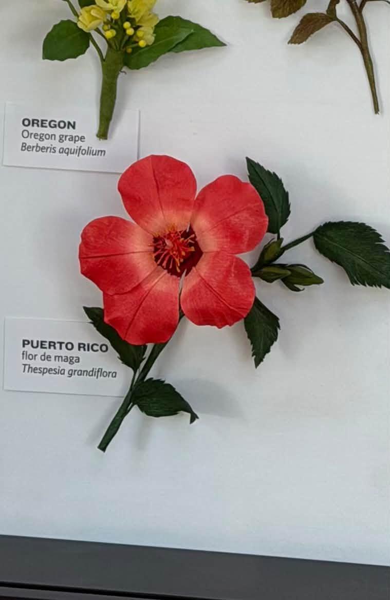 paper flower with a Puerto Rico label bottom left