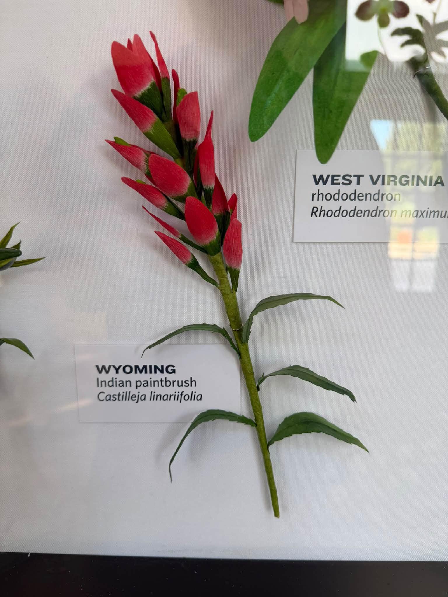 paper flower with a Wyoming label bottom left