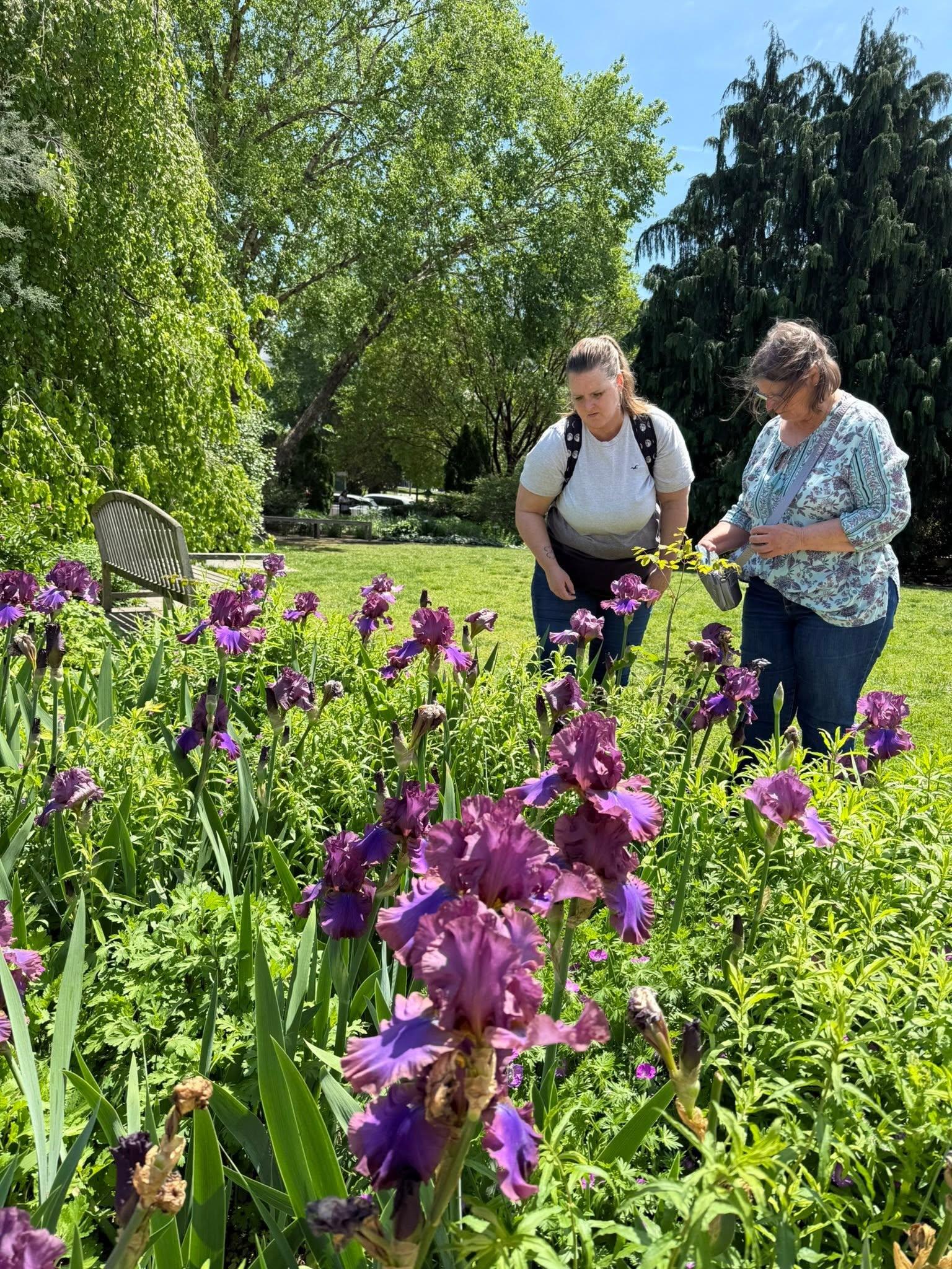 people in a garden with purple flowers