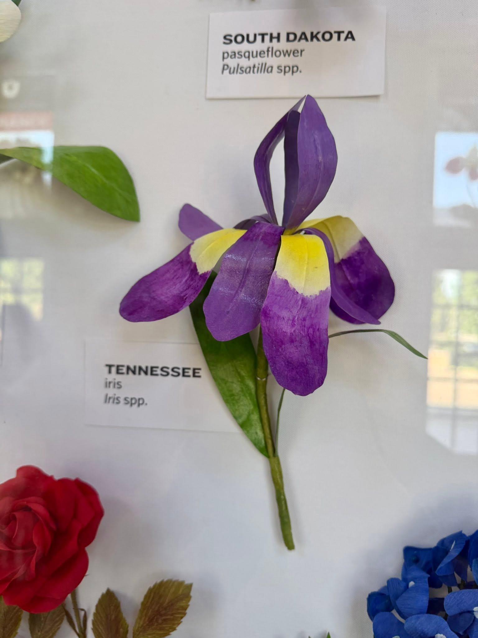 paper flower with a Tennessee label at left