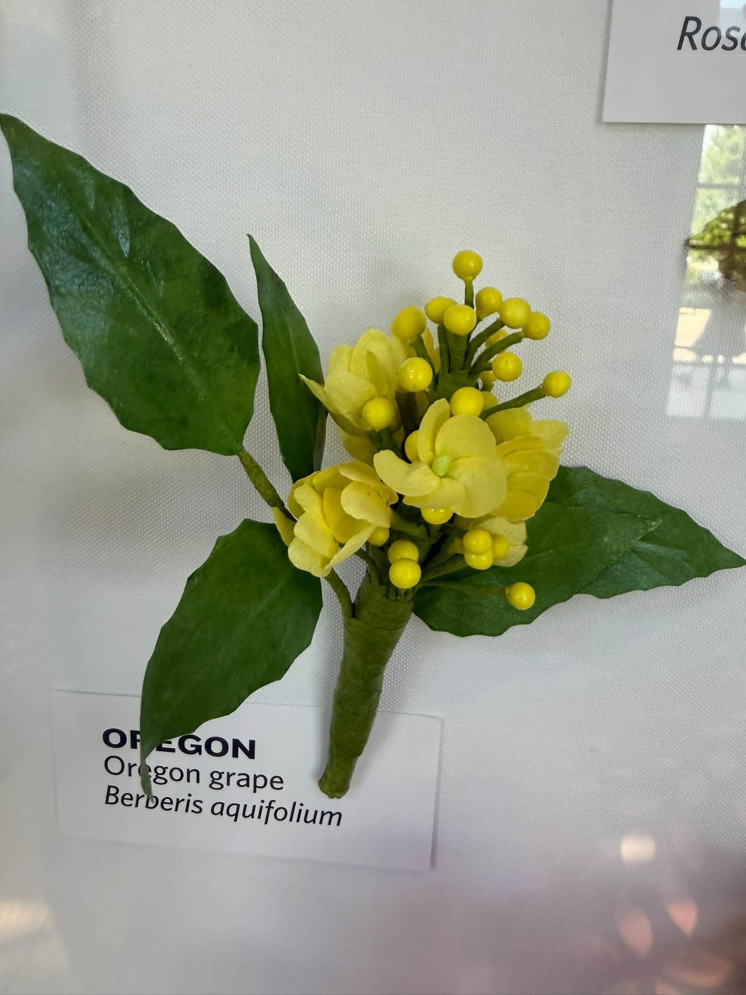 yellow paper flowers with an Oregon label below