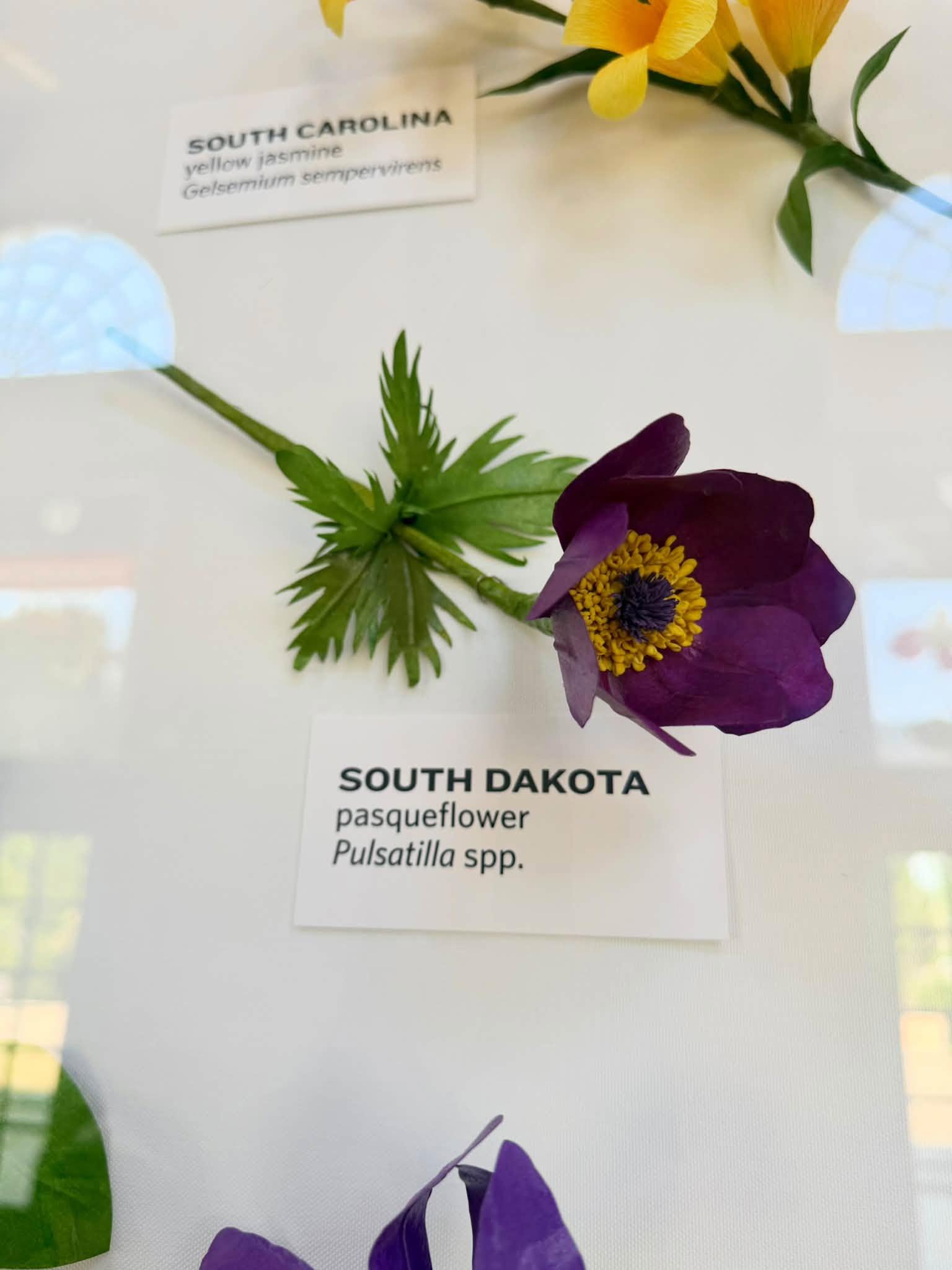 paper flower with a South Dakota label below