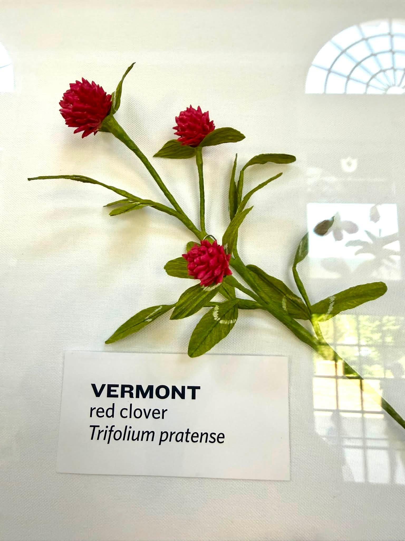 paper flowers with a Vermont label below