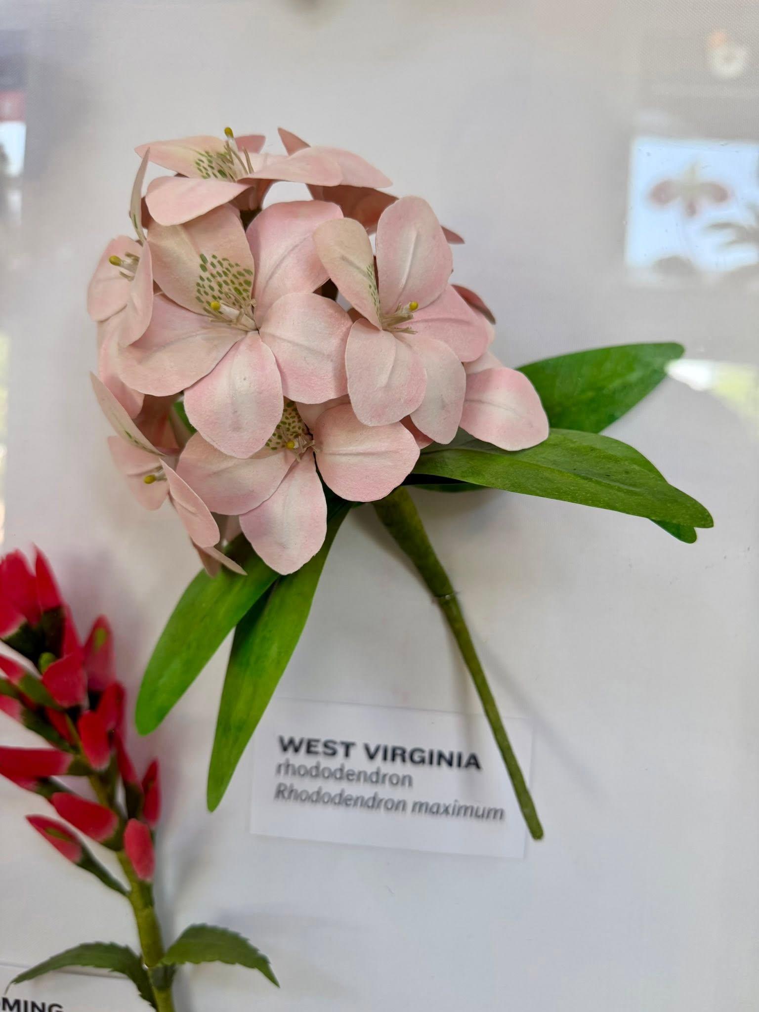 paper flowers with a West Virginia label below
