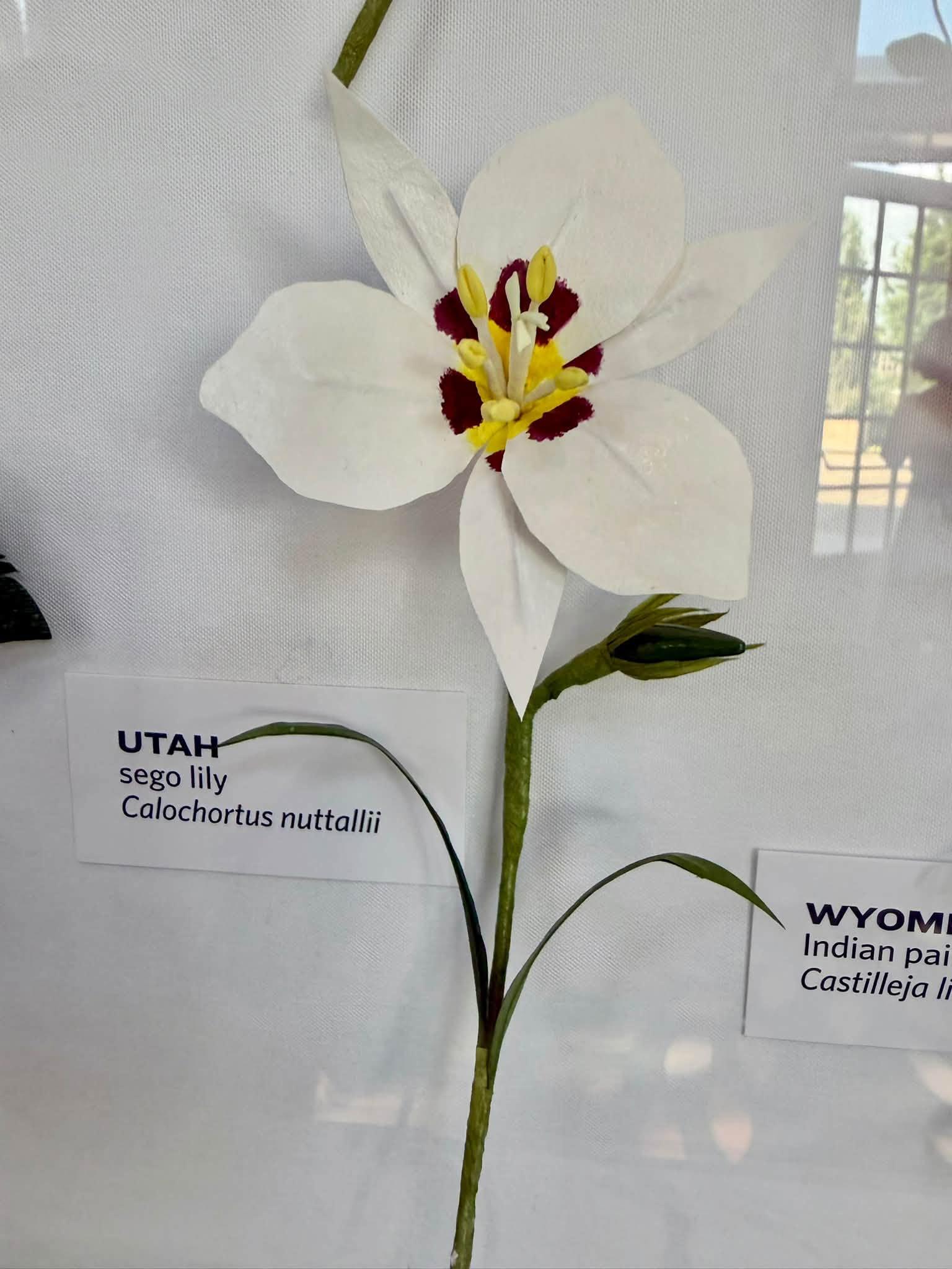 paper flower with a Utah label at left