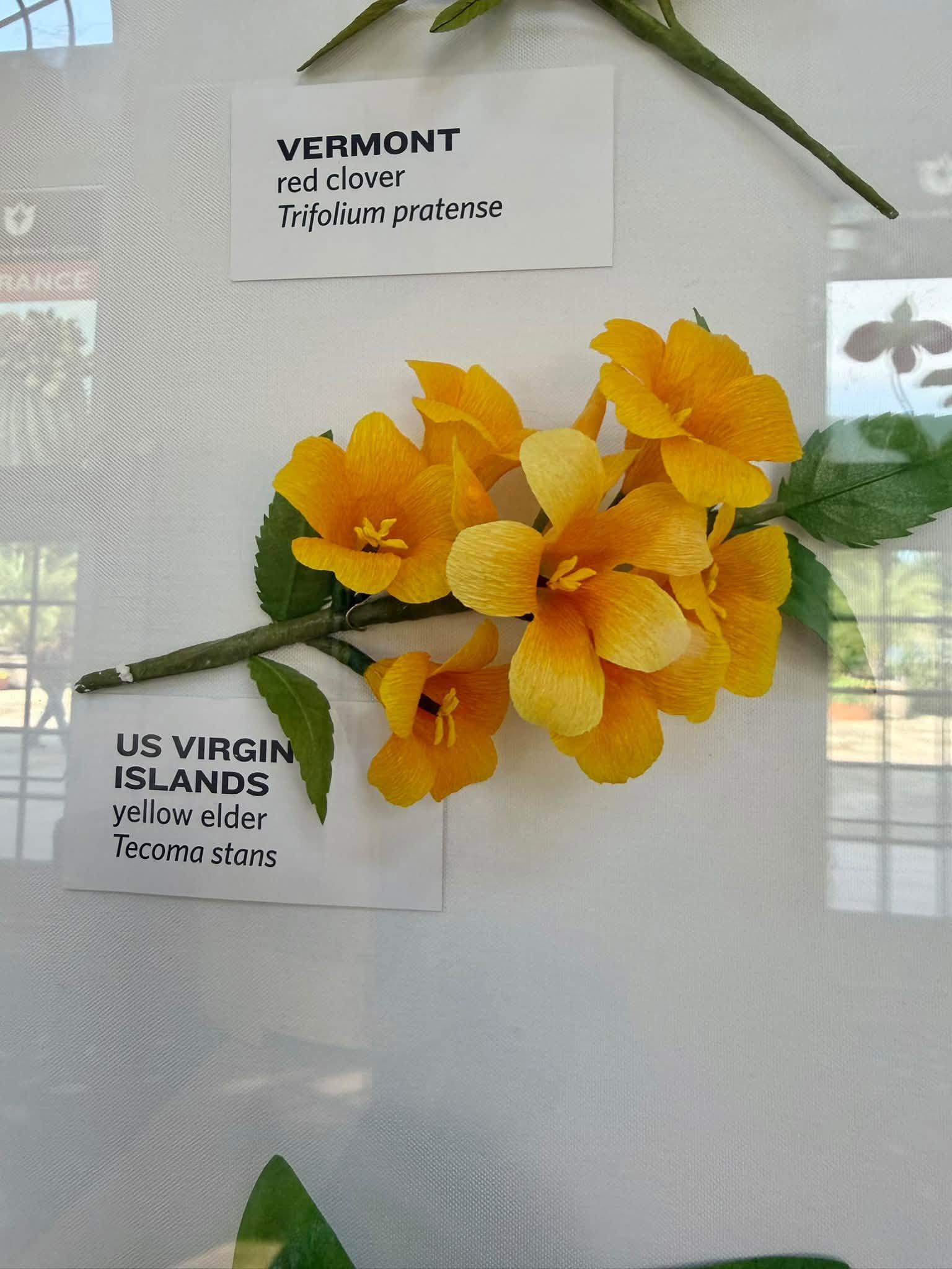 paper flower with a U.S. Virgin Islands label bottom left