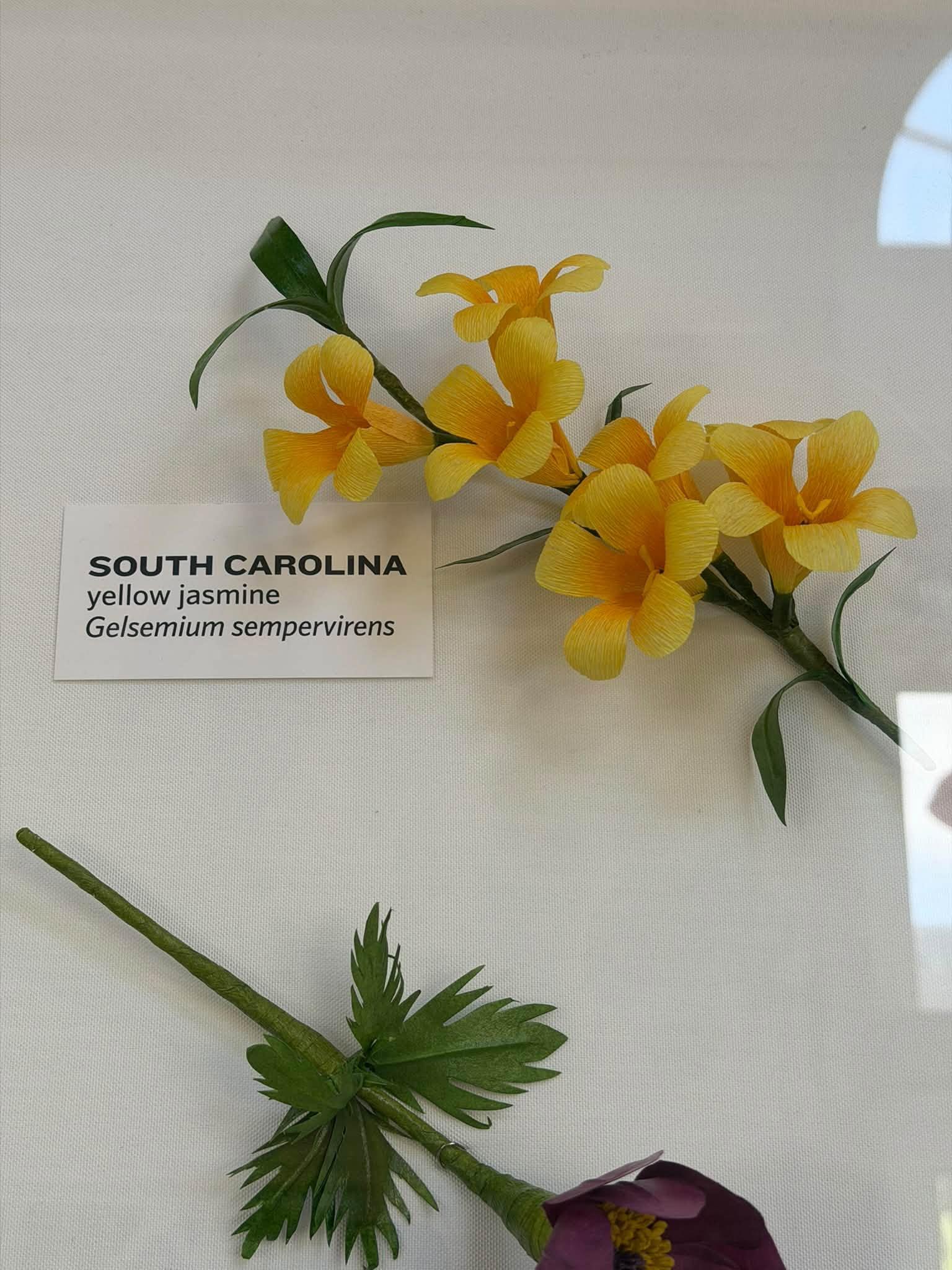 paper flowers with a South Carolina label at left